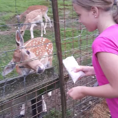 Sonnenblume Am Klopeiner * Sankt Kanzian am Klopeiner See