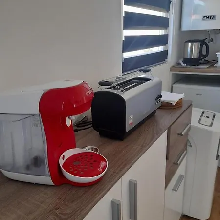 Sonnenblume Am Klopeiner