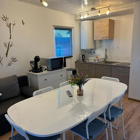 Sonnenblume Am Klopeiner *