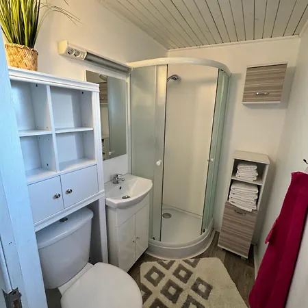 Sonnenblume Am Klopeiner