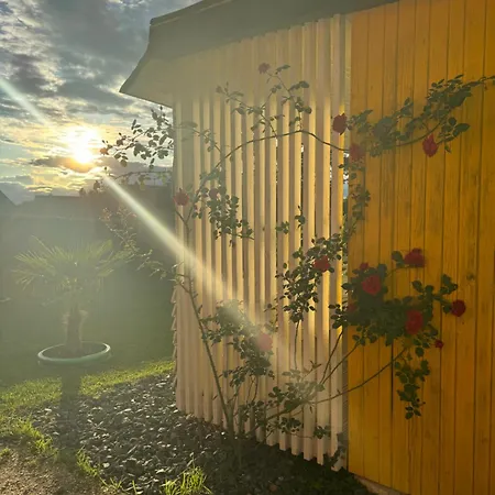 Sonnenblume Am Klopeiner Lägenhet