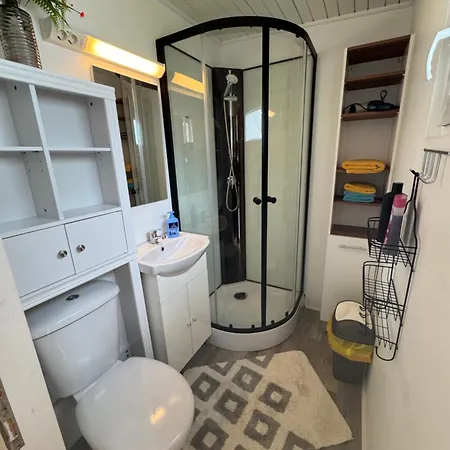 Sonnenblume Am Klopeiner Sankt Kanzian am Klopeiner See