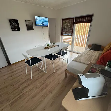 Sonnenblume Am Klopeiner