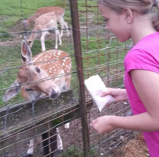 Sonnenblume Am Klopeiner * Sankt Kanzian am Klopeiner See