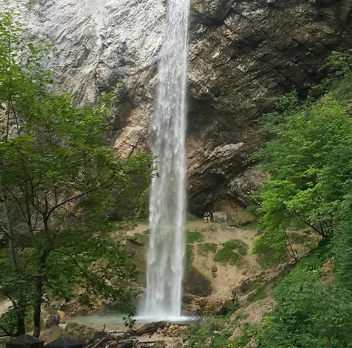 Sonnenblume Am Klopeiner *