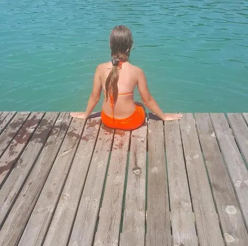 Sonnenblume Am Klopeiner *