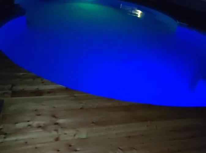 Sonnenblume Am Klopeiner