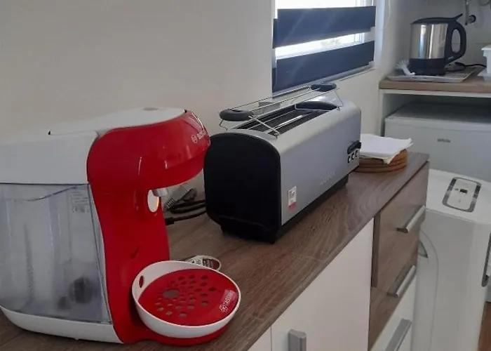 Sonnenblume Am Klopeiner