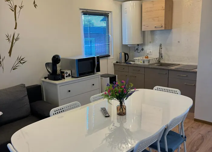 Sonnenblume Am Klopeiner *