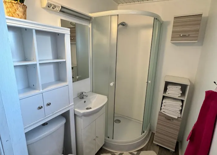 Sonnenblume Am Klopeiner