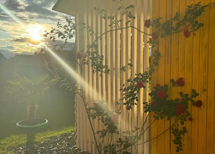 Sonnenblume Am Klopeiner Lejlighed