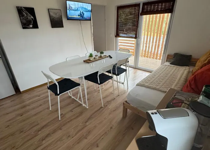 Sonnenblume Am Klopeiner