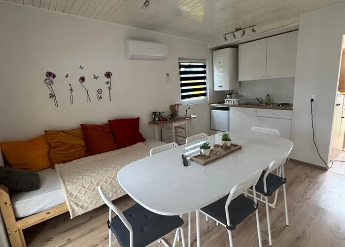 Sonnenblume Am Klopeiner Sankt Kanzian am Klopeiner See